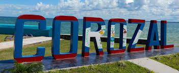 The Wedding Website of Lyla Cowo and Gabriel Carter