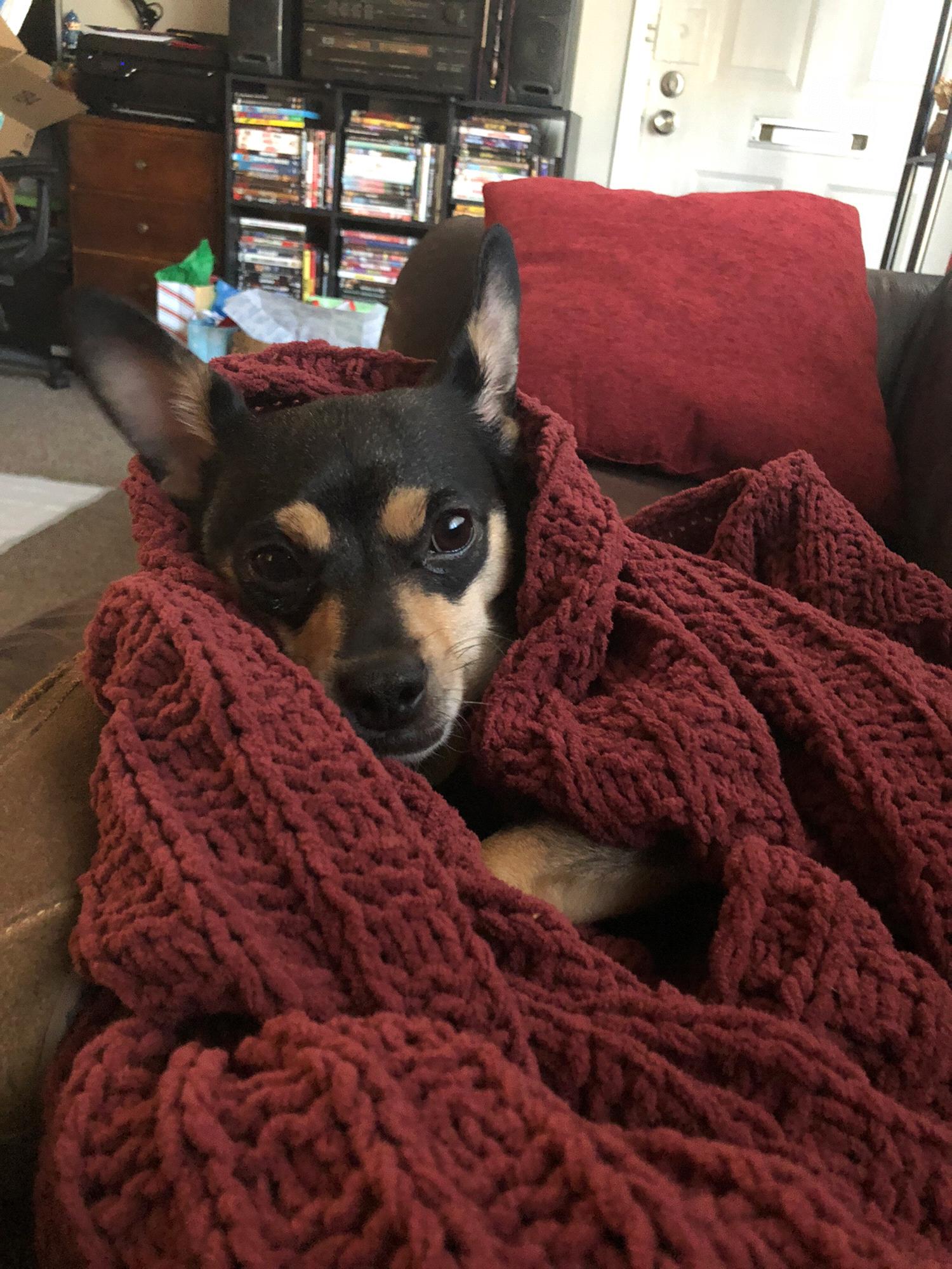 The snuggliest girl in the world!