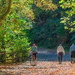 Wissahickon Valley Park