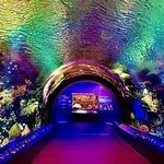 New York Aquarium