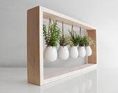 Indoor Succulent Garden in Wooden Frame |...