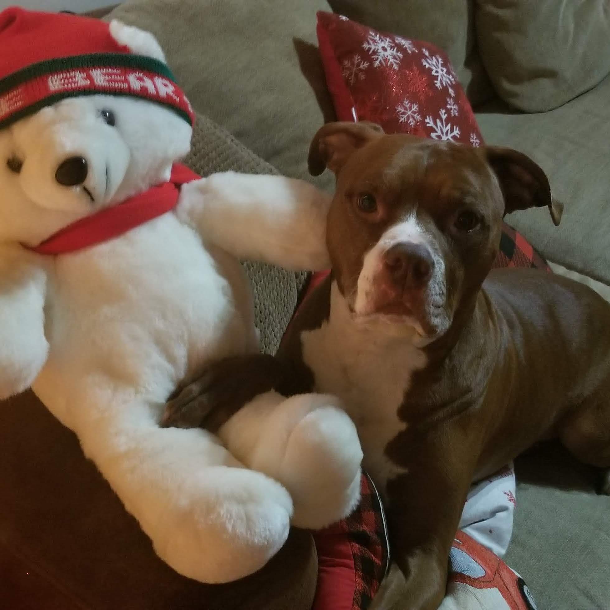 Classic Titan Christmas card