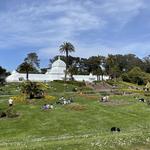 Golden Gate Park