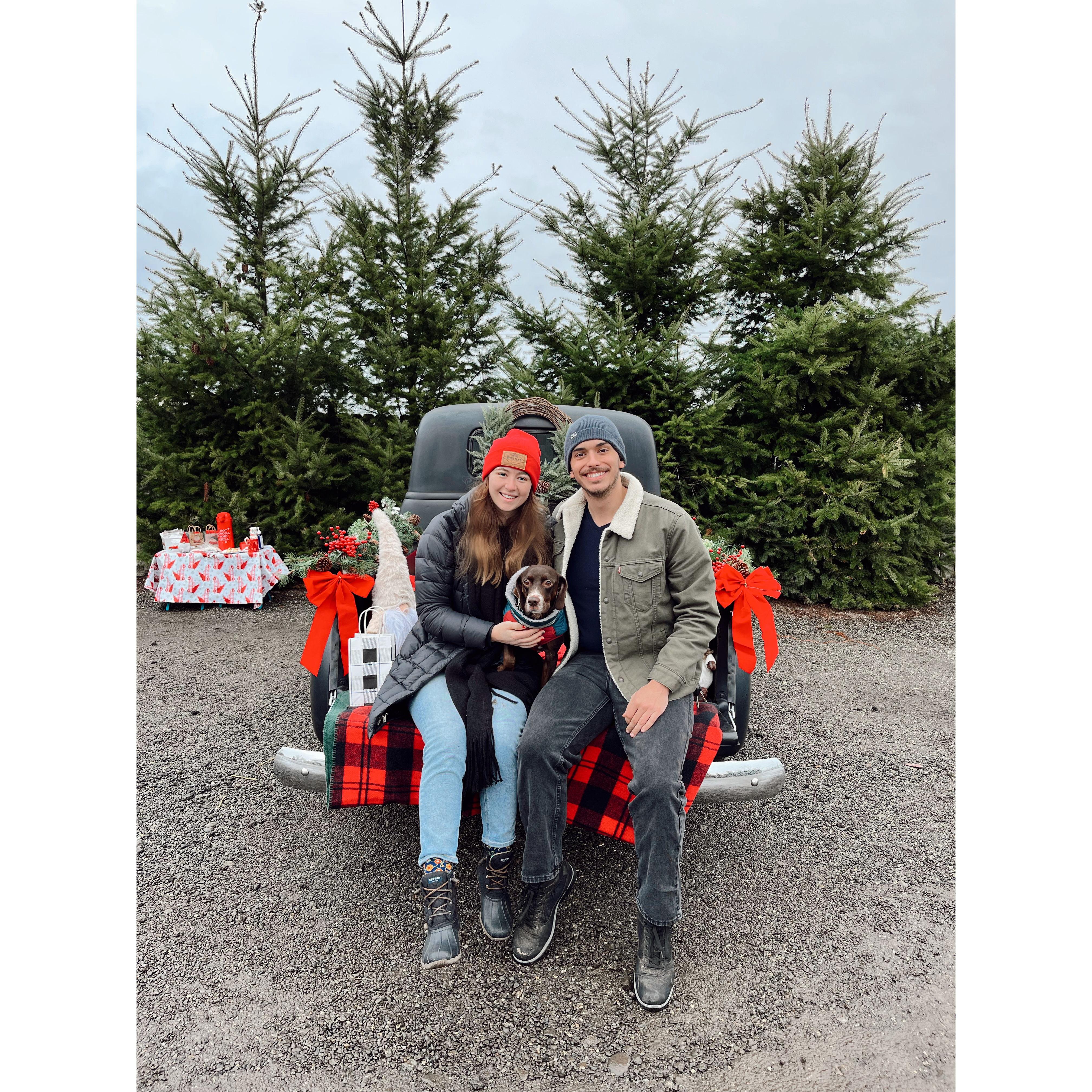 Christmas 2022 with our new dog, Ollie
