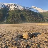 Sandy Beach
