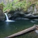 Hiking in the Columbia River Gorge