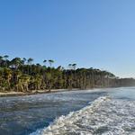 Hunting Island State Park