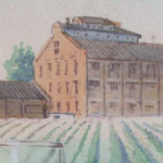 Old Sugar Mill