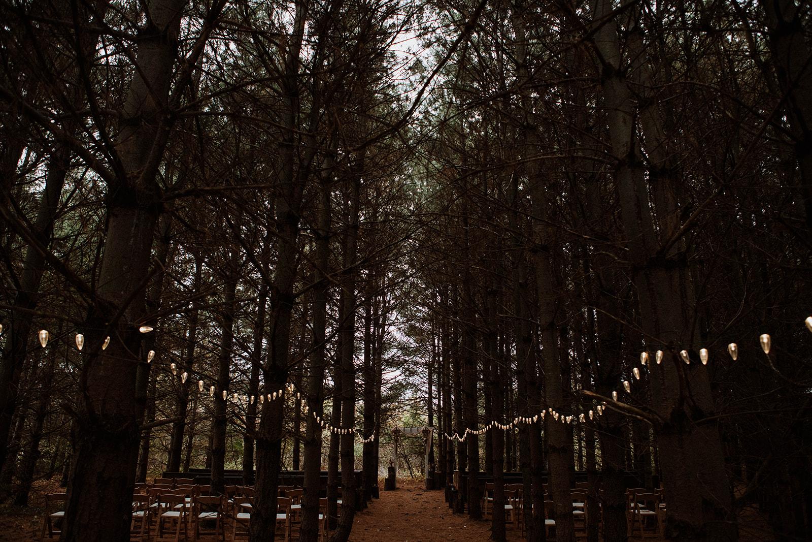 The Wedding Website of Kelly Hurlburt and Josh Hines