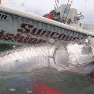Saltwater Fishing Charter for 2