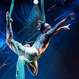 Cirque du Soleil