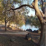 Woodward Park