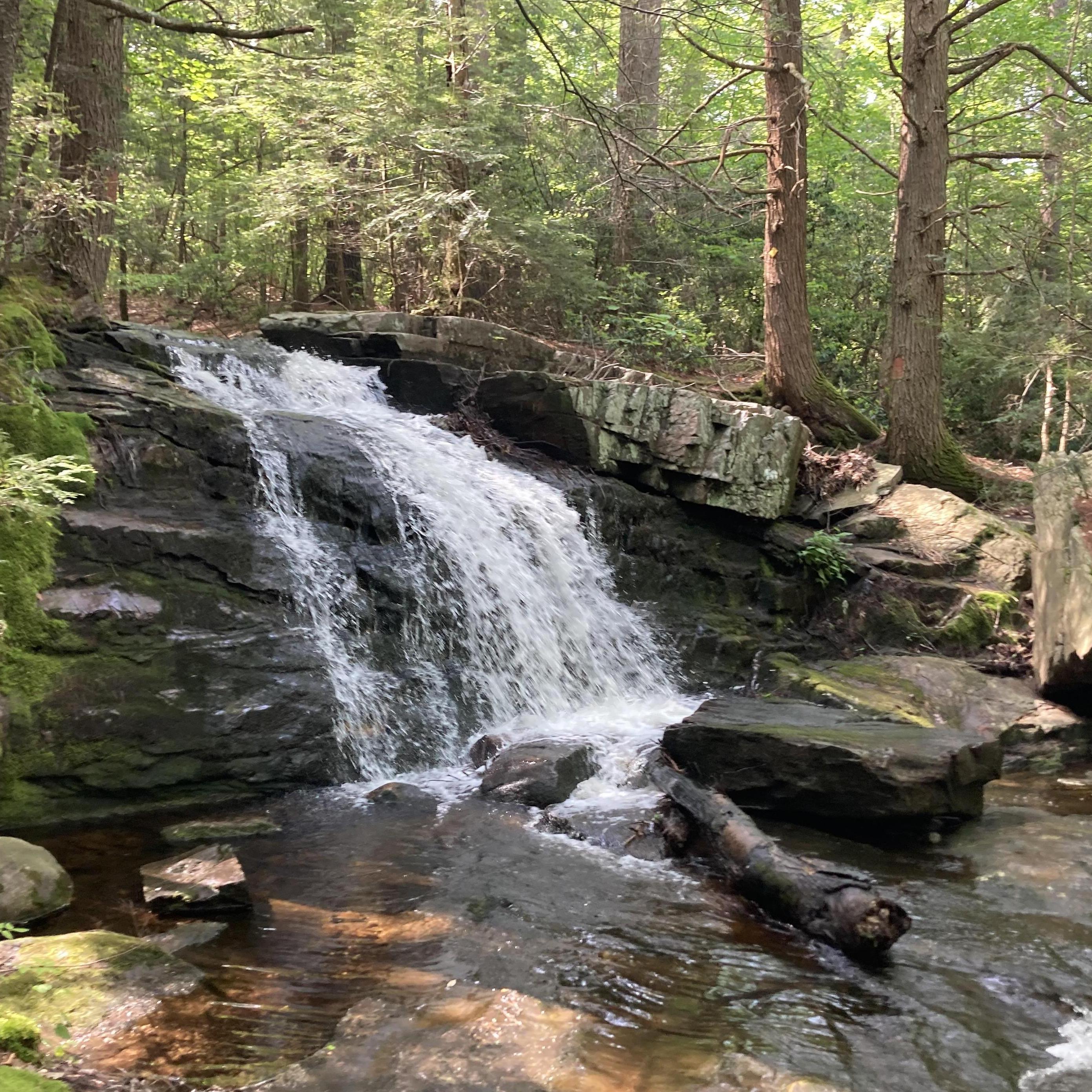 The waterfall by our house we had regular visits with