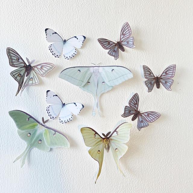 Luna moths (paper)