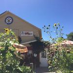 Z's Orchard