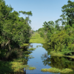 Jean Lafitte National Historical Park and Preserve