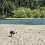Big River Beach