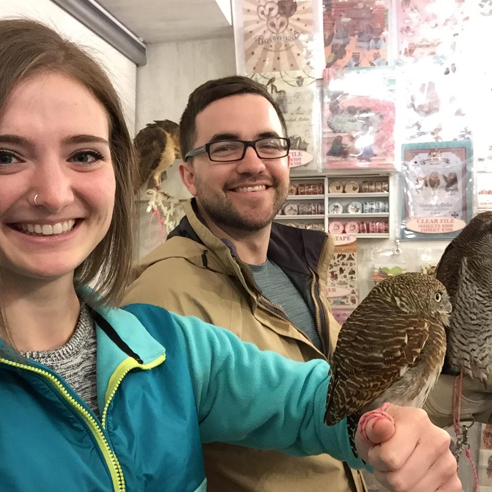 Owl Cafe in Tokyo, Japan, 2019