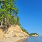 Calvert Cliffs State Park