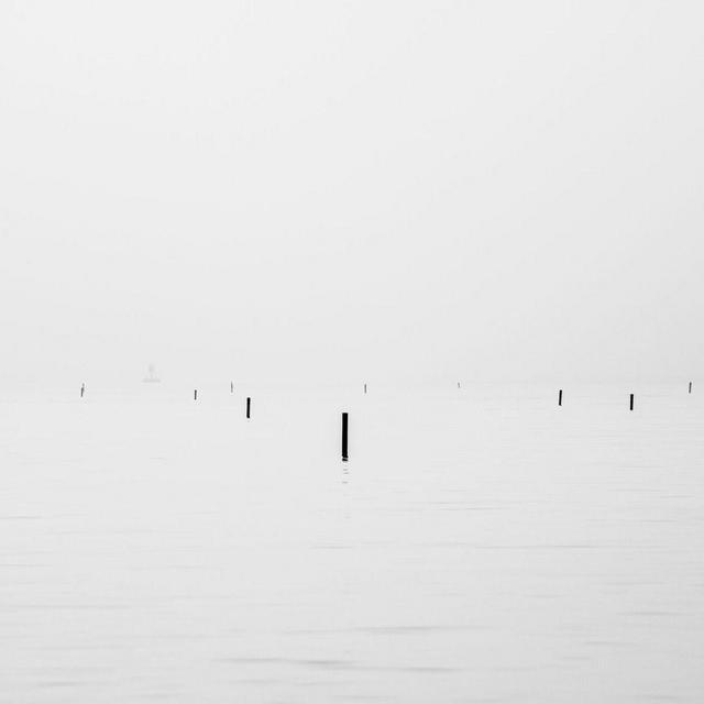 Foggy Bouys