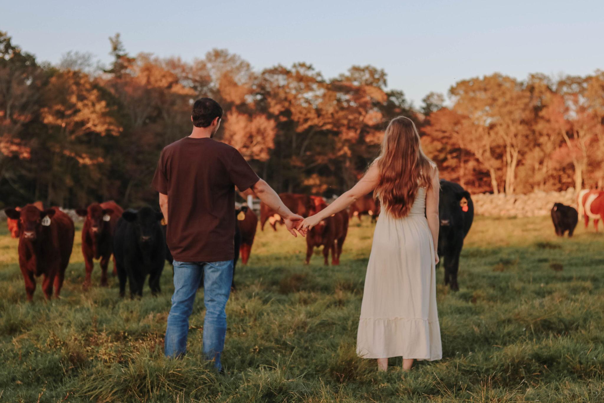 The Wedding Website of Kathryn Bertholic and Michael Brewer