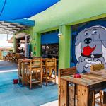 The Dog Bar