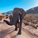 Aquila Private Game Reserve