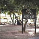 Queen Creek Olive Mill