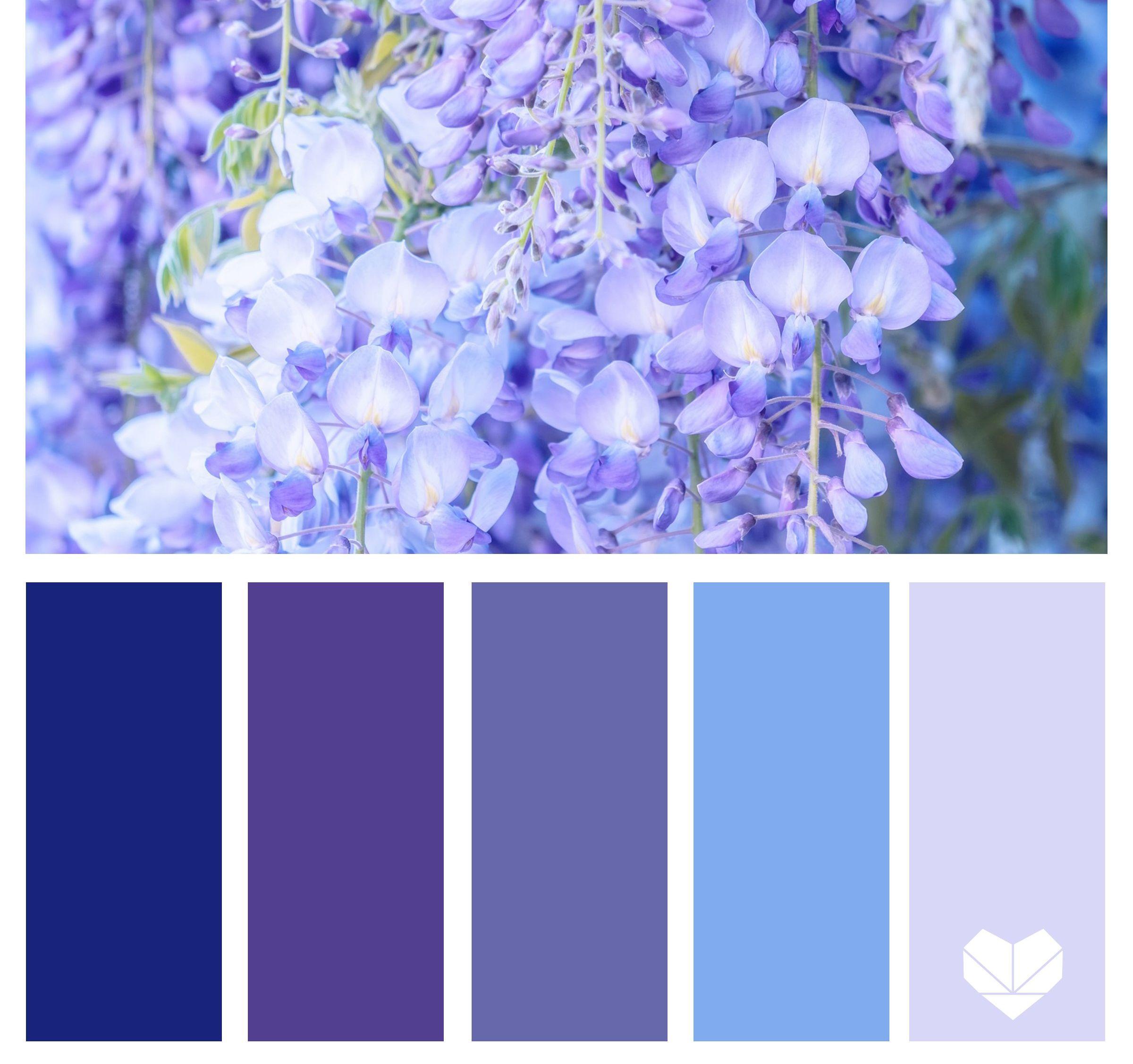 The Wedding Website of East (Haylie) Beckstrom and Lillian Rose