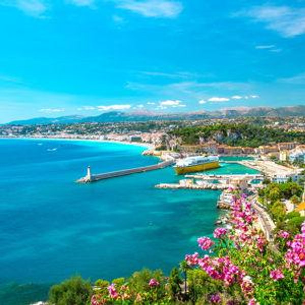 Honeymoon - Venmo