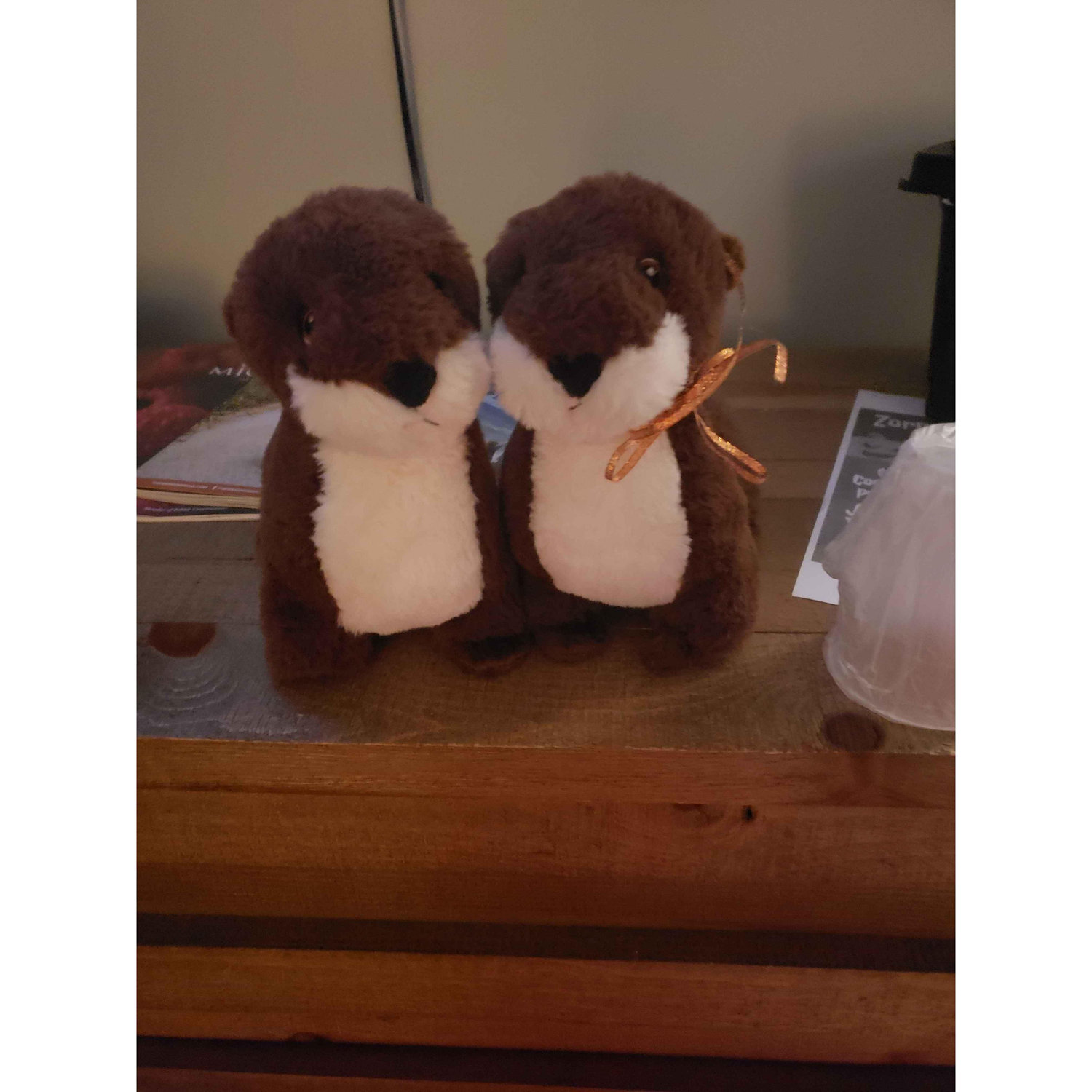 The famous otters! Oscar (left) and Olivia (right).