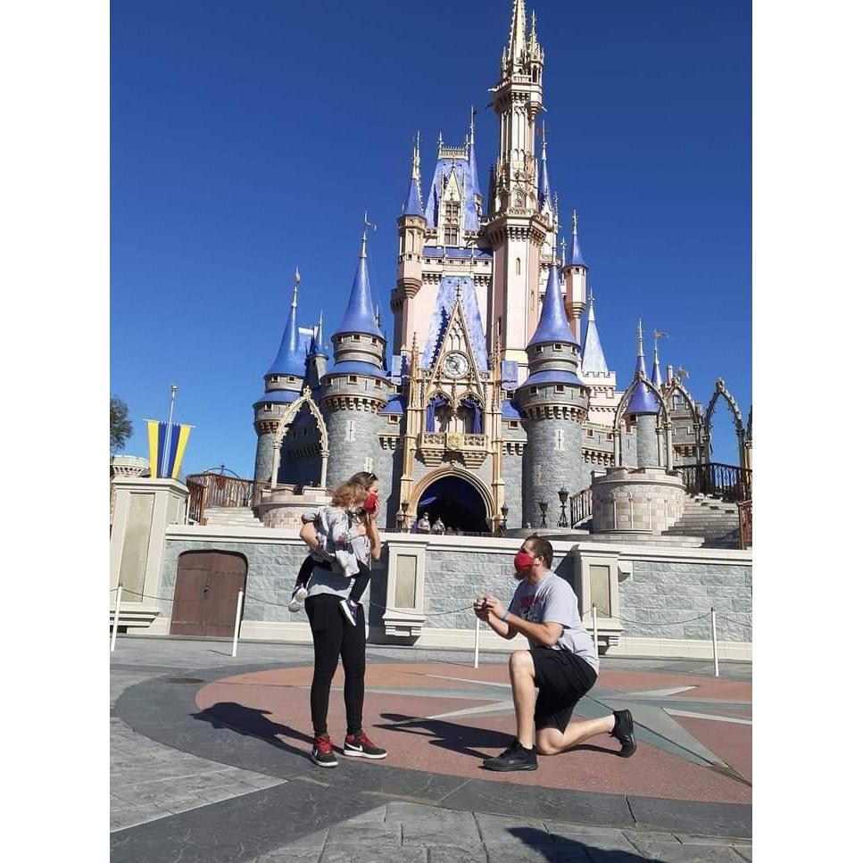 Brill you marry me? I said YES in the most magical place