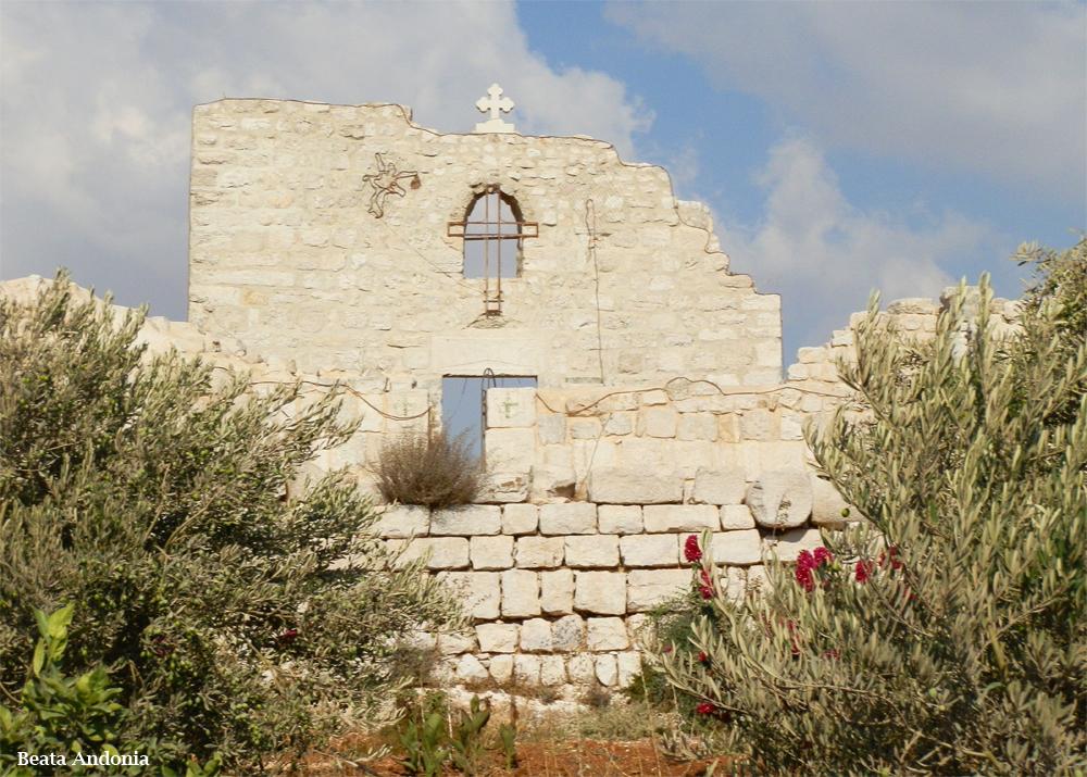 The Wedding Website of Demetri Khoury and Mary Marudas