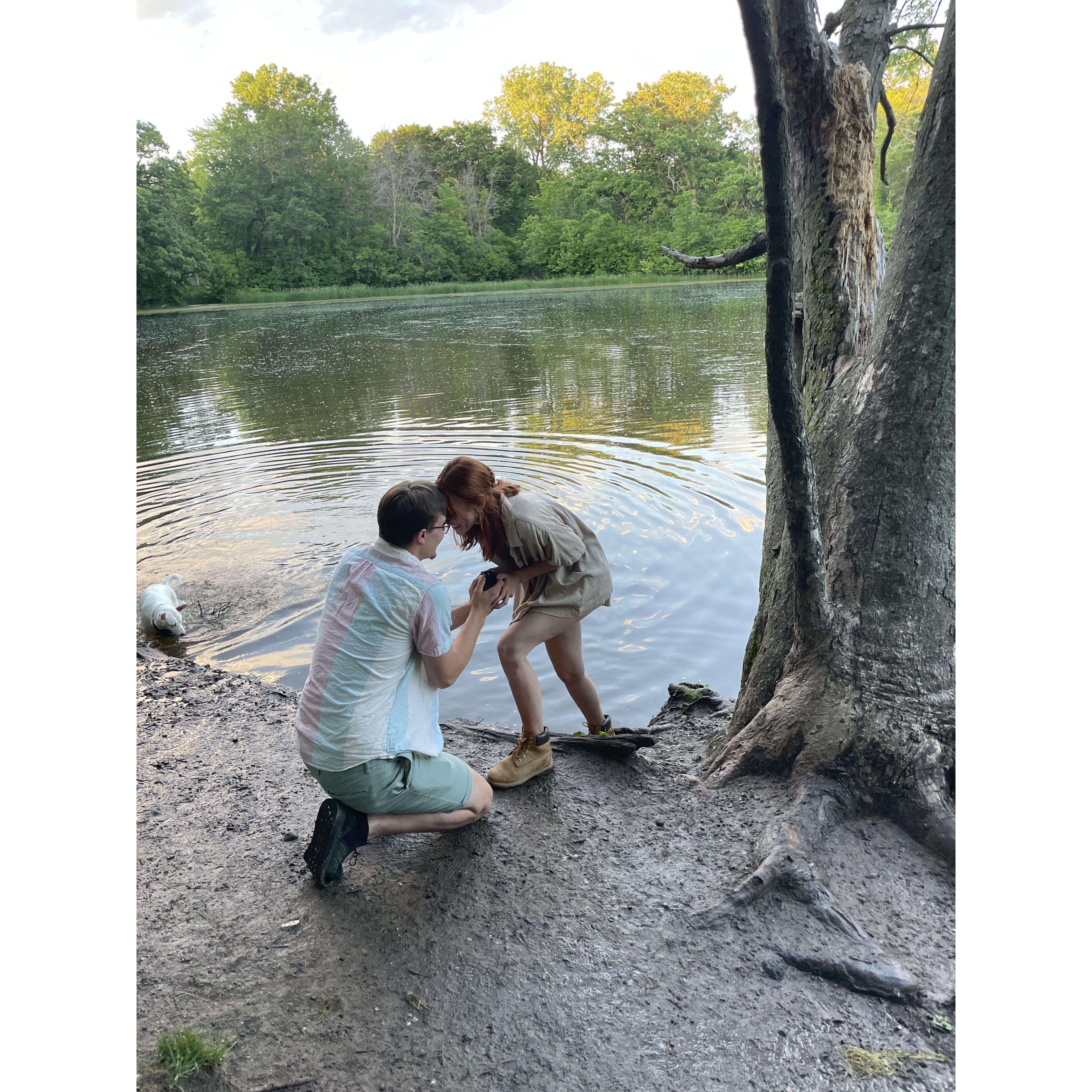 Ben Proposing at Battle Creek Dog Park 💍✨🐾
June 01, 2024