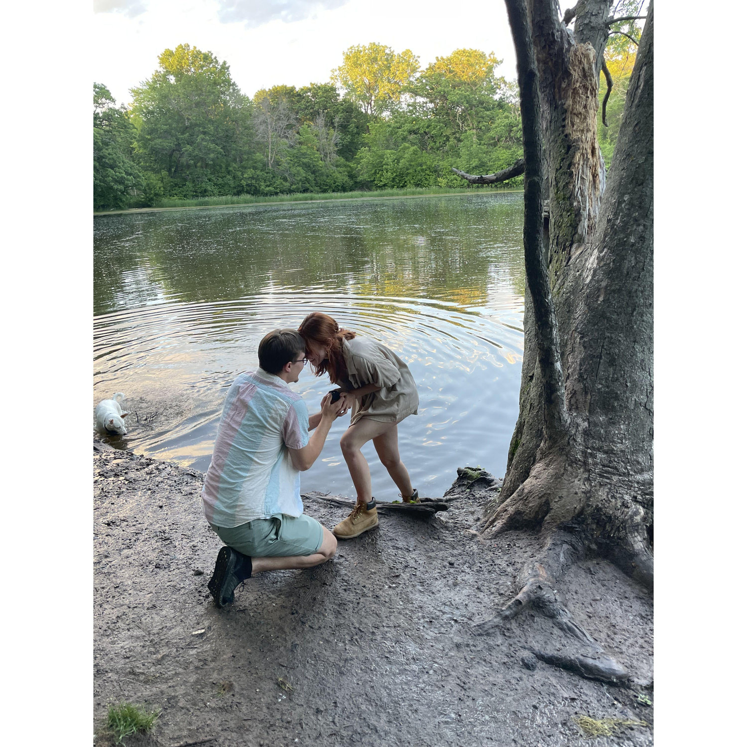 Ben Proposing at Battle Creek Dog Park 💍✨🐾
June 01, 2024