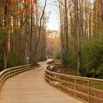 Big Creek Greenway