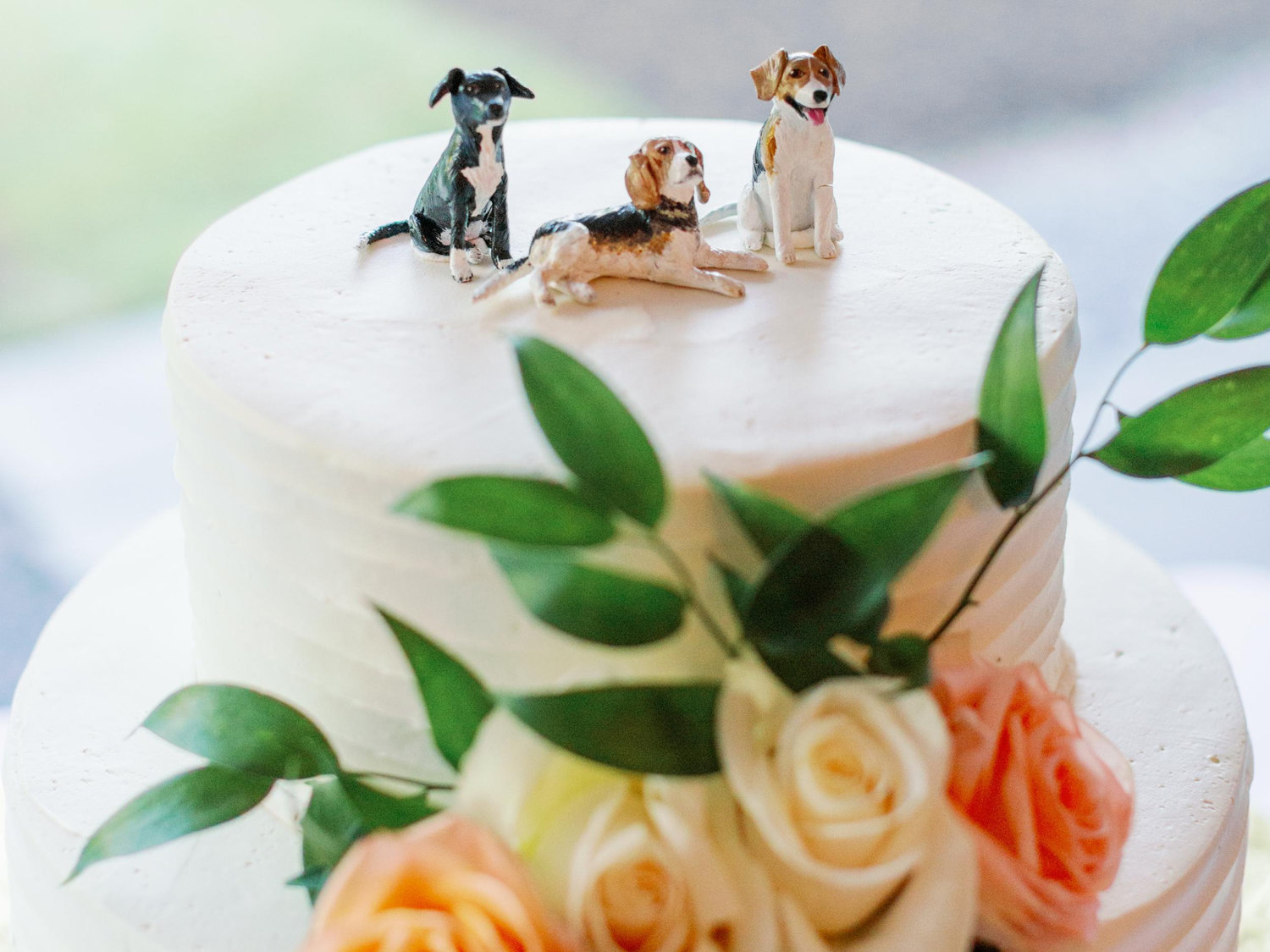 The Wedding Website of Kaitlyn Vertullo and Kevin Sands