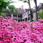 Winterthur Museum, Garden & Library
