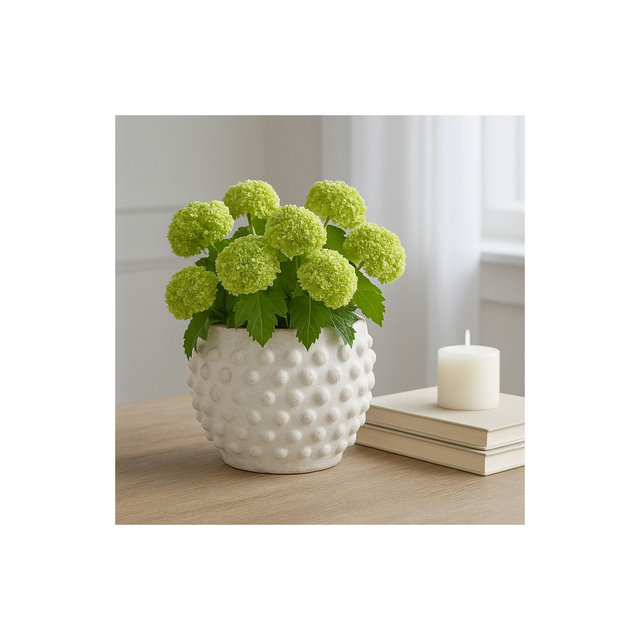 Terracotta Planter Pot - Round Textured Ceramic Pot - White Pottery Design for Indoor & Outdoor Plants - Garden & Home Decor - 5" White
