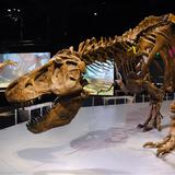 Perot Museum of Nature and Science