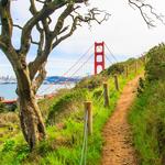 Marin Headlands