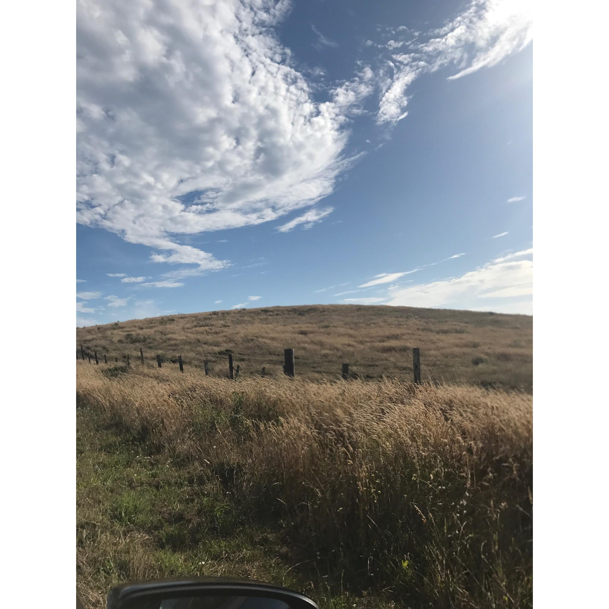 Scenic drive through Point Reyes