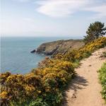 Howth Cliff Walk