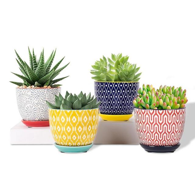 Selamica Ceramic Plant Pots, 4.6 Inch Flower Pots for Indoor Plants, Succulent Pots with Drainage Hole & Saucer, Succulent Planters for Succulent Cactus, Home Decor, Set of 4, Assorted Colors