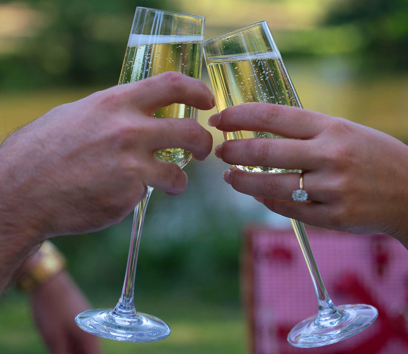 The Wedding Website of Armando Aiello and Taylor Chavez