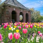 Botanical Garden
