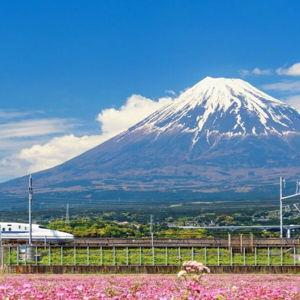 Bullet Train Tickets