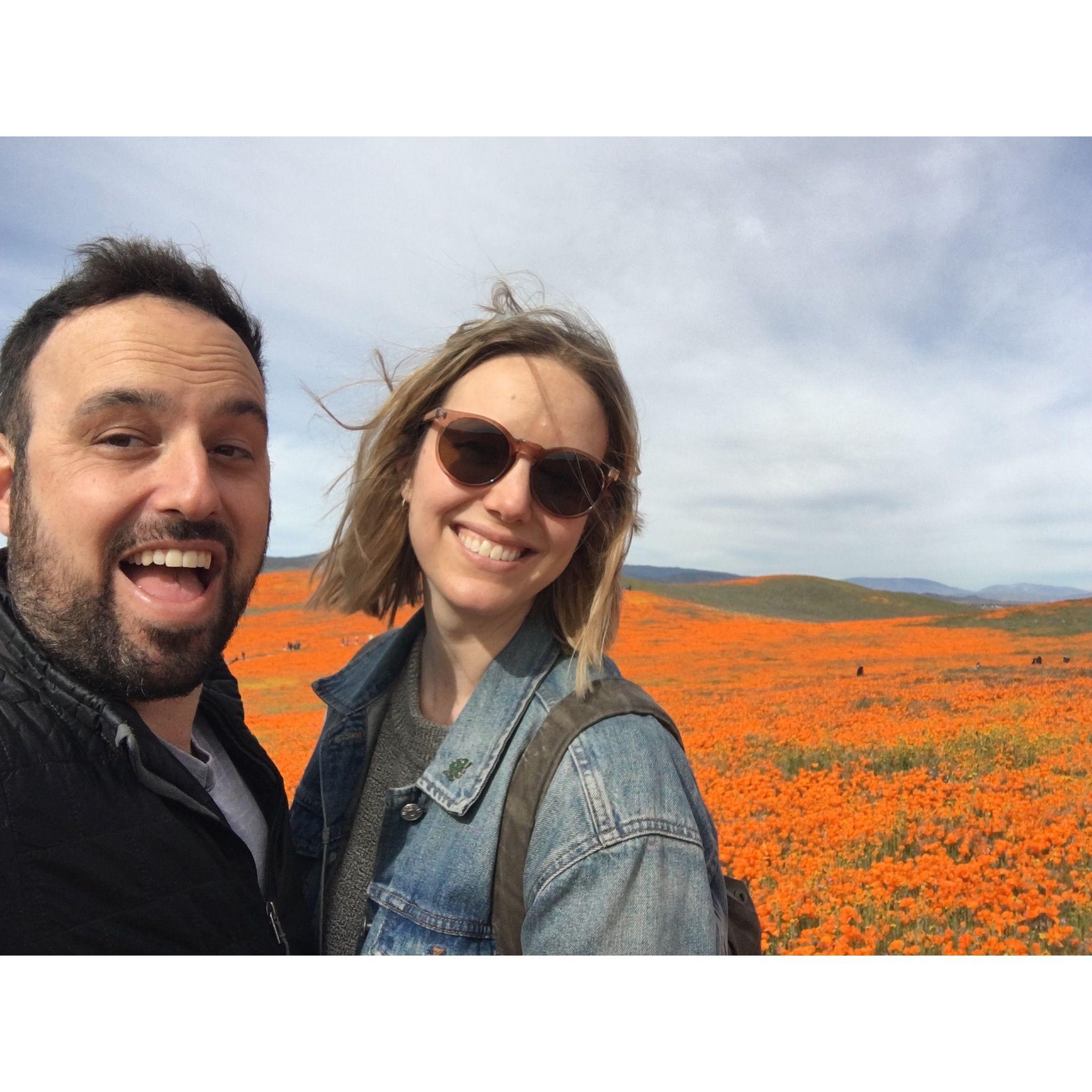 Antelope Valley Superbloom 2019