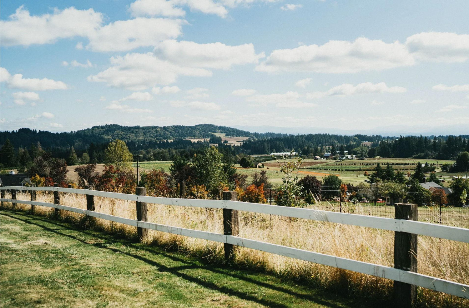 The Wedding Website of Caleb DeHart and Madi Moore