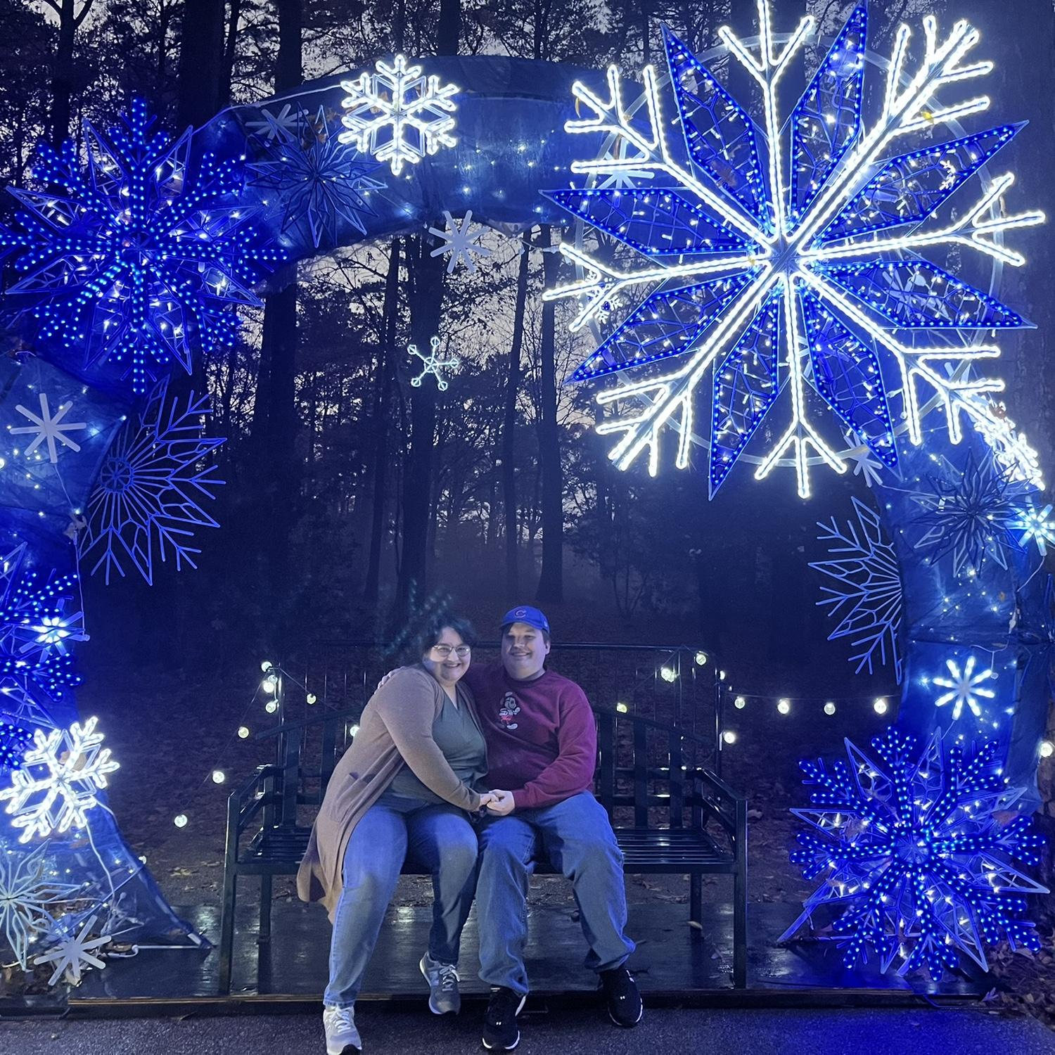 The holiday lights right before christmas 2024